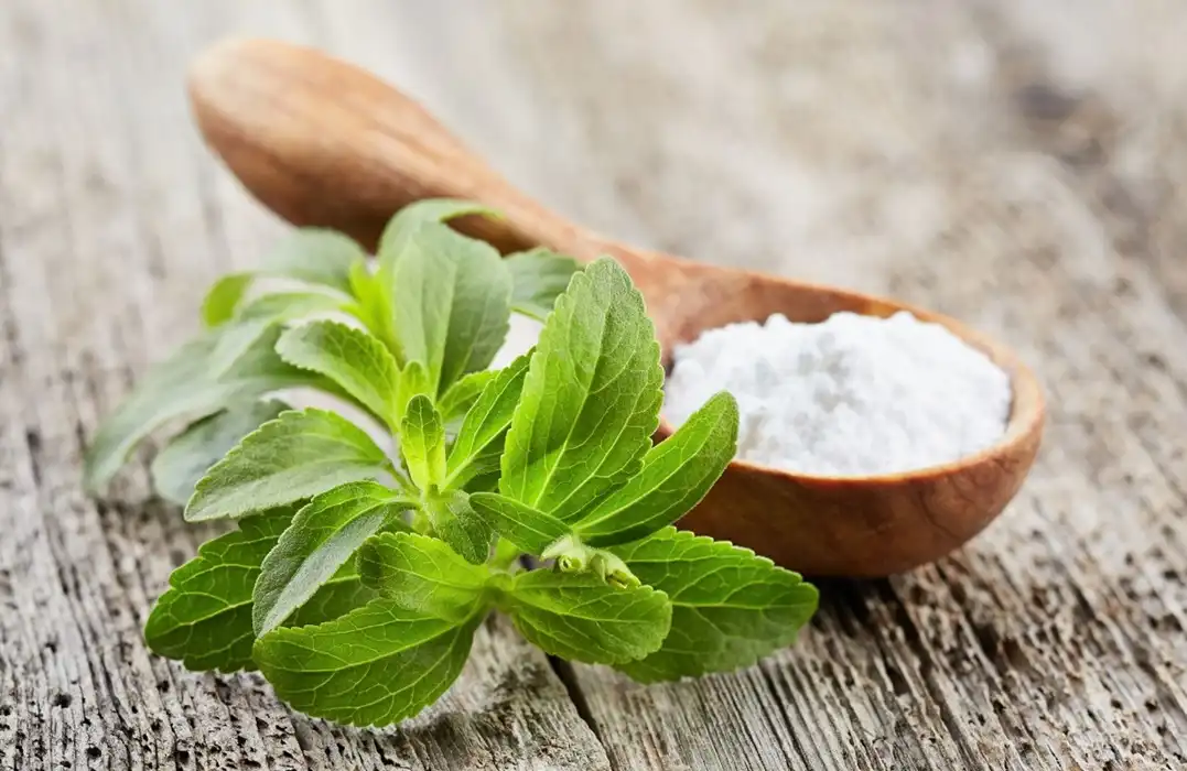 Benefits of Stevia Extract as a Natural Sweetener